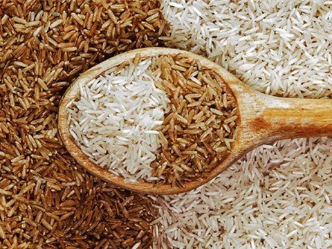 Giá gạo hôm nay 11/11: Tăng nhẹ ở một số chủng loại