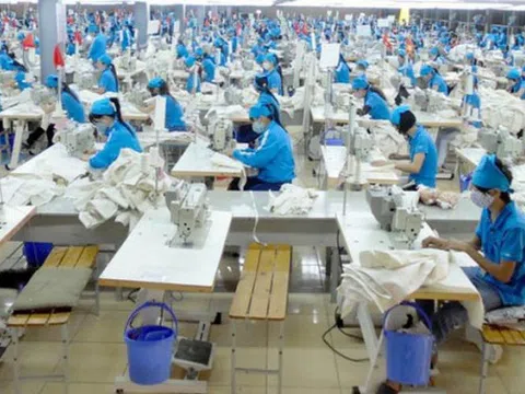 Cổ phiếu GIL tăng mạnh sau báo lãi khủng quý III