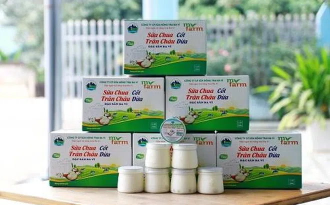 Chuỗi liên kết giúp ổn định nguồn cung nông sản cho người dân Hà Nội