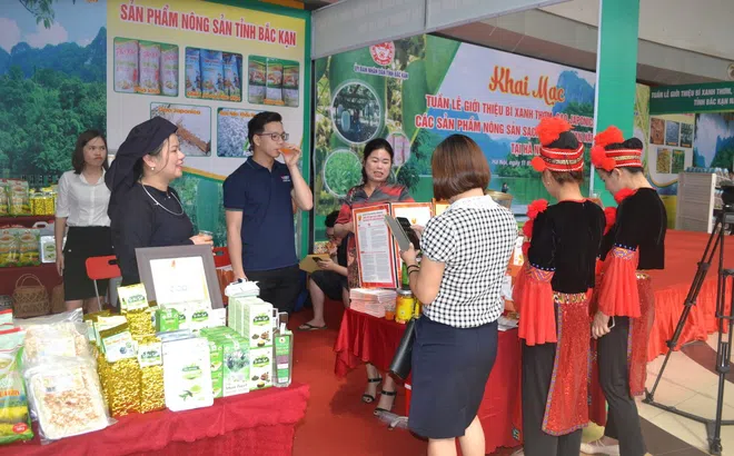 Chuỗi liên kết sản xuất: Động lực giúp ngành nông nghiệp Thủ đô phát triển nhanh, mạnh và bền vững
