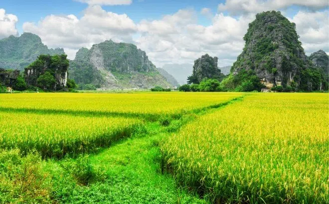 Phát triển nền nông nghiệp sinh thái gắn với phát triển nông thôn bền vững