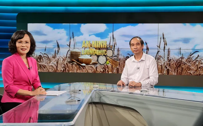 PGS.TS Đào Thế Anh chia sẻ về "An ninh lương thực toàn cầu" với VTV1