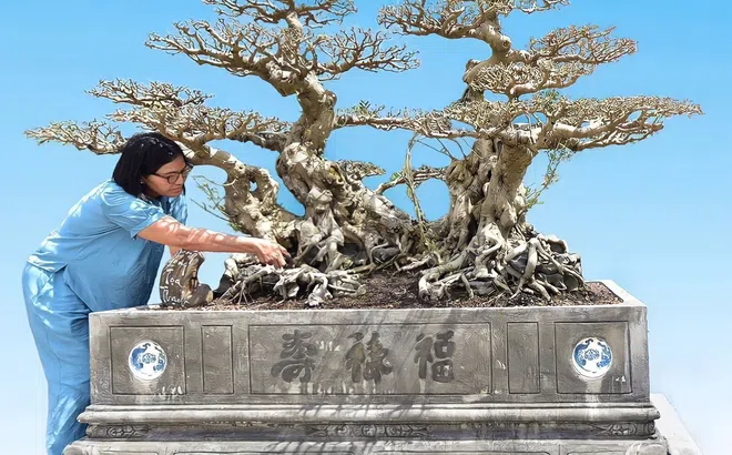 Song Long Tọa Thạch: Tác phẩm Sanh cổ còn mãi với thời gian