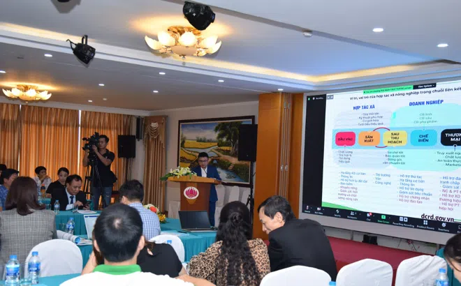 Hội nghị: Phát triển kinh tế xanh và nông nghiệp tuần hoàn trong các HTX nông nghiệp